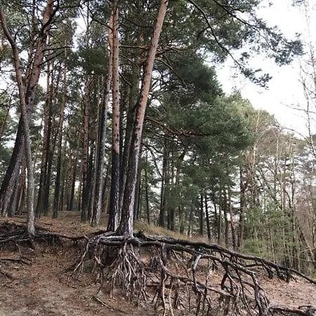Erika * Wicko (Pomerania)