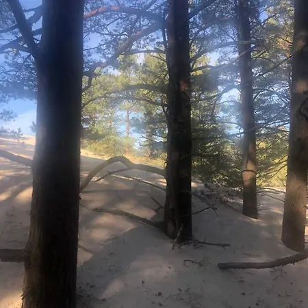 Erika Wicko (Pomerania)