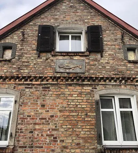 Erika Wicko (Pomerania)