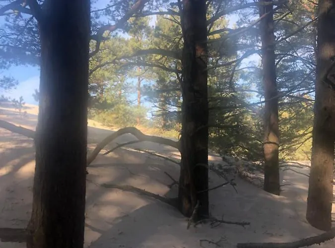 Erika Wicko (Pomerania)